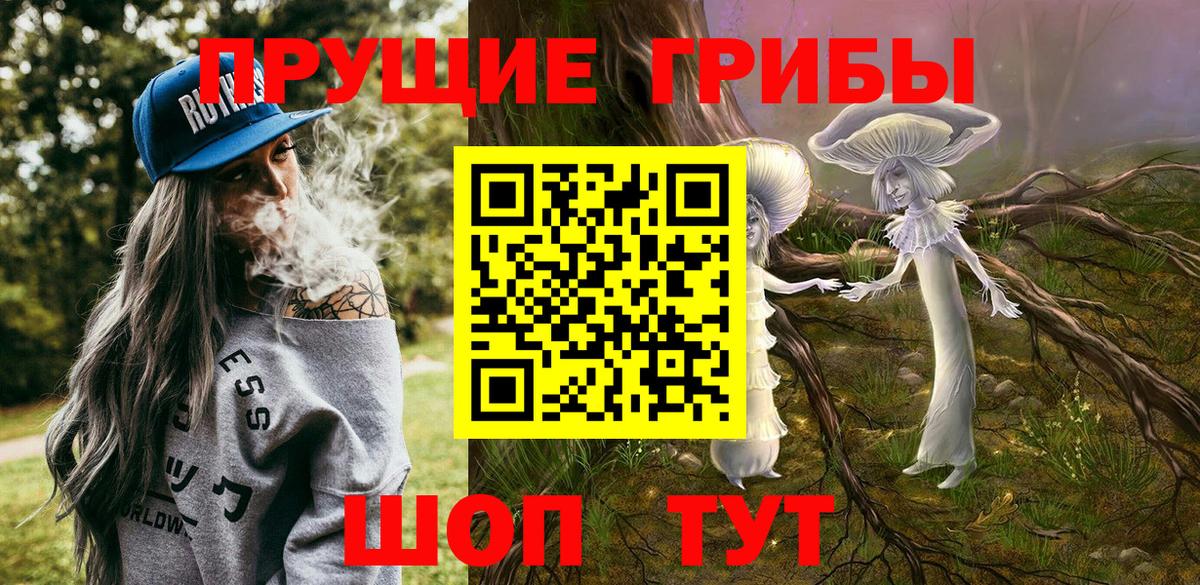 Галлюциногенные грибы Magic Shrooms  Псилоцибиновые грибы ЛСД  Вход с VPN  закладки  Советский 